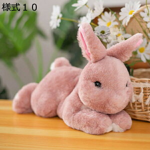 w15-30%OFF  ʂ GG ETM l2  킢 50cm e l`  j̎q ̎q 蕨 j a YQ v[g  D e D 