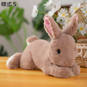 w15-30%OFF  ʂ GG ETM l2  킢 50cm e l`  j̎q ̎q 蕨 j a YQ v[g  D e D 