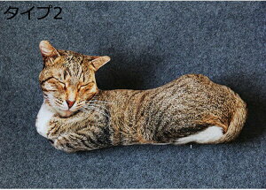 w15-30%OFF L ˂ ʂ L OєL Tog L g 50cm v[g ^Cv Mtg ޏ ɂ 킢 蕨  ΂ a ̎q LD j̎q 