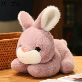 購入15％-30%OFF 抱き枕 人形 ホワイト ウサギ ぬいぐるみ 兎 赤ちゃん 生々しい おもちゃ かわいい 25cm 人形 縫いぐるみ 癒し 動物 ギフト 贈り物 キッズ 女の子 男の子 子供 お誕生日 記念日 プレゼント ストレス解消 店飾り 置物 ベィビー 入学祝い