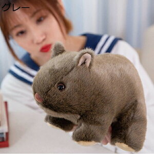 w15-30%OFF ʂ  zCg 20cm l ˂ 킢 A YQ v[g   FB ӂӂ 傫 lY~ D a l j 蕨 l` Mt