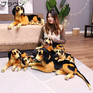 w25OFF ʂ     킢 VFp[h bNX NbV  ܂ A j oY a YQ 75cm  O NbV  u