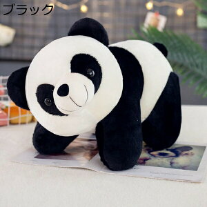 w15-30%OFF ʂ  ubN p_  ӂӂ 킢 40cm p_ D YQ v[g j X Mtg  a A Aj} NbV  