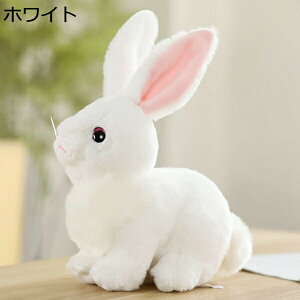 w15-30%OFF ʂ e { ETM   40cm ybg  ʂ zCg D CeA A e  ETM    v[