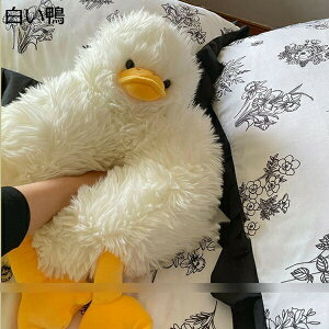 w15-30%OFF D ʂ  25cm  VM[ ё ^ ʔ IWi    G ӂӂ ӂ 炩 e   NX}Xv
