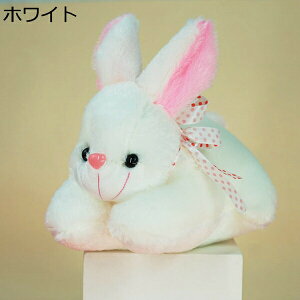 w25OFF ʂ ETM X eʂ e  uE ETM  v[g  ܂ 킢 bNX  25cm Ck ObY   