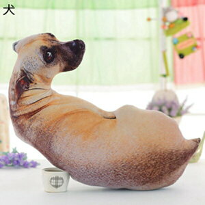 w25OFF D ʂ A t`uhbO 90cm NbV p p ʔ { w  Aj} _炩  蕨 a pI 