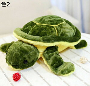 w15-30%OFF T Jʂ T F    Cm J ߂ʂ 35cm 킢 Qׂ a GG X[p[\tg T w ObY _炩 ӂ