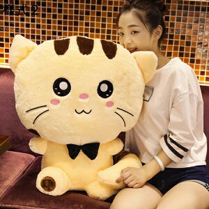 w15-30%OFF ʂ 傫 lR L   ܂  lRʂ LD ˂  80cm j ӂӂ ʂ L  l3 ybg 傫  ˂ 