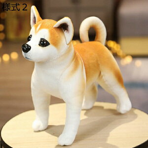 w25OFF ʂ ̕ 25cm 킢 j̎q ̎q l5  gCv[h a  u v[g NX}X j ̂ʂ 킢 gCv[h  A