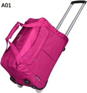 w25OFF {XgL[ 2way LX^[obO 35L, 55L g[obO ܂肽 e 2 H L[obO s h o sobO : Y 35L) (Color A08, Size X[cP[X