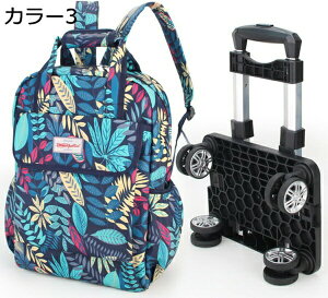 w15-30%OFF @ \tgL[obObN bNɂȂ L[ fB[X LX^[t4 J[g  L[J[g J[6 RpNg ȒP 