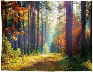 w15-30%OFF ^yXg[ Ǌ| Ri  wiz JGf̗t J[ Ԏd؂J[e  CeA t@ubNpi 150*100 Ji ₨X̑ @\Ǐ