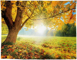 w15-30%OFF ^yXg[ Ǌ| Ri  wiz JGf̗t J[ Ԏd؂J[e  CeA t@ubNpi 150*100 Ji ₨X̑ @\Ǐ