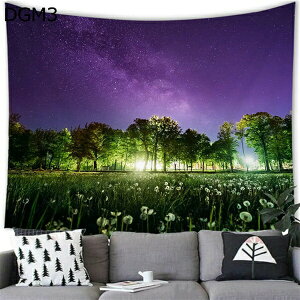 w15-30%OFF ^yXg[  i X DGM i R R   \t ݂邷 CeA  ȒP ǎ CXg vl^E ʐ^Be̔wi @\z A230x180 唻 CeA