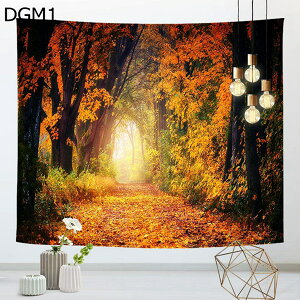 w15-30%OFF H ^yXg[ ^ gt ݂ RXX ~ C`E H DGM  G  ܂G i iF X R ݂z ǂ̑ A[g @\z 唻 CeA A[g|X^[ Be