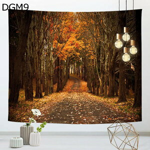 w15-30%OFF H ^yXg[ ^ gt ݂ RXX ~ C`E H DGM  G  ܂G i iF X R ݂z ǂ̑ A[g @\z 唻 CeA A[g|X^[ Be