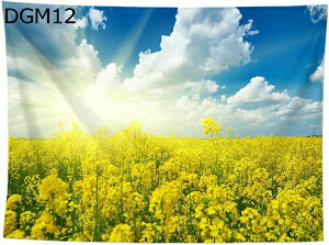 w15-30%OFF ^yXg[ iʐ^^yXg[ DGM 唻^yXg[  X R Q 150*130 r[`^I obNOEh Mtg j  ͗lւ M[ Ct