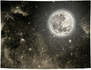 w25OFF ^yXg[ ̃^yXg[ 唻^yXg[ DGM k  Jt Q r[`^I obNOEh Mtg A200*150 Jt  ͗lւ M[ 