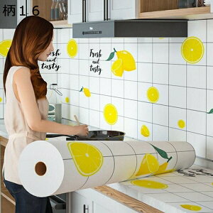 w25OFF ǎ V[ ^CV[ 14 h CNV[g Lb` UCN^CV[ ϔM h 3M*60CM hV[g EH[XebJ[ ̂t ʏ  CeAV[g 