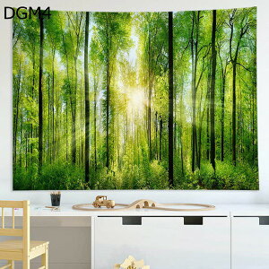 w15-30%OFF ^yXg[Ri唻 DGM Z`[gCeA@\ ͗lւ_Ԏd؂ȒPBepzJ[eVzjv[gǊ|^yXg[X 