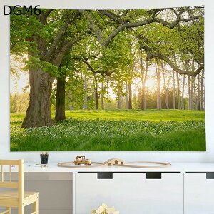 w15-30%OFF ^yXg[Ri唻 DGM Z`[gCeA@\ ͗lւ_Ԏd؂ȒPBepzJ[eVzjv[gǊ|^yXg[X 