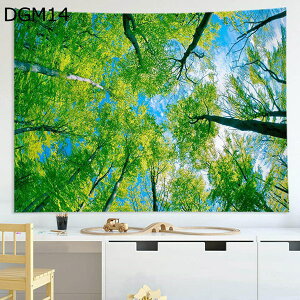 w15-30%OFF ^yXg[Ri唻 DGM Z`[gCeA@\ ͗lւ_Ԏd؂ȒPBepzJ[eVzjv[gǊ|^yXg[X 