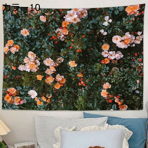 w25OFF ^yXg[ Ǌ| CeA Ǐ胂_ȃA[g a EH[ CeA z|X^[ J[ Bep @\ C] Ԏd؂J[e v[g Vj Q 