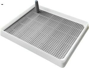 w15-30%OFF gC gCg[ Ch ybggC pgC ׂbV ߂܂ gC ^ ^ h~ M[ }[LO|[t Ch 