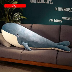 킢 ʂ  NW ~ Lʂ v[g j ӂӂʂ NW Q 