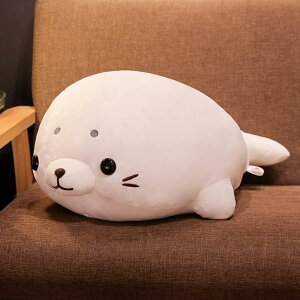  ʂ AUV ʂ NbV ܂ ܂ ʂ 50cm ӂ  lC