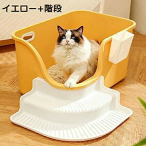 w25OFF ^LgC I[v^Cv LpgC{ 傫 [ L̃gC LXTCY  юUh~ J XRbvt 傫ȔL̃gC ybggC |ȒP Ki