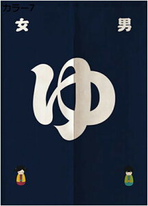 w15-30%OFF ̂ O g   65*120cm hAJ[e ډB  Ԏd؂ ՌJ[e a  hA j  J[e   ʏ lGp  Lb` o