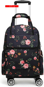 g[obO  bNL[ L[P[X bN j ʋ ʊw @ 4  LX^[t