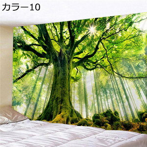 w15-30%OFF a fUC ^yXg[ xmR i @\  Ǐ  CeA ԂƎR uPbg IV  v[g @\ z  Q HX Ǌ| V