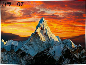 �w��15��-30%OFF �^�y�X�g���[ ���i�^�y�X�g���[ �A�� �J���[ �� �K�[�f�� �����Ǌ|���^�y�X�g���[ �Ԏd�؂� ������� �C���e���A �Q�� �J�[�e�� �������� �V�z���j�� �������j�� �v���[���g 