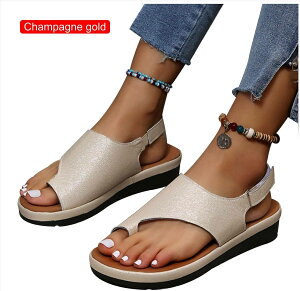 `OȃT_APUU[RN^[OtbvtbvNbvܐtbgr[`EH[LOV[YRtH[gEF