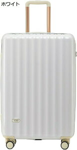 �w��15��-30%OFF �X�[�c�P�[�X �L�����[�P�[�X �@���������� 40L �L�����[�o�b�O TSA���b�N���� �t�@�X�i�[�� ����h�~ ���^ �ϏՌ� ���i�K�L�����[�o�[ �_�u���L���X�^�[ 360�x��] ���s �r�W�l