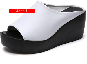 T_ EFbW\[ fB[X   ~[ y ~ 芴 ᔽ ₷ ~[T_ 