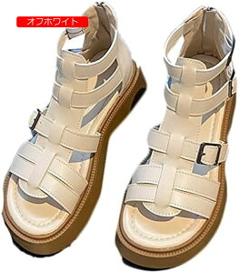 OfBG[^[ fB[X XgbvT_  xg ҂ݍ݃T_  T}[T_ tbg 5cmq[ 