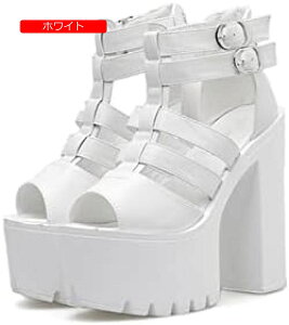 T}[u[c `L[q[ T_ I[vgD u[c C fB[X15cm q[ OfBG[^[ T_