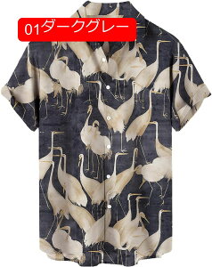 Y Vc AnVc  J a  ʋC y  nCVc nC  傫TCY `FbN  rWlX v[g IV ʔ Y