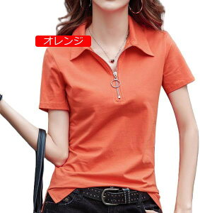 |Vc fB[X UVH   Vv StEFA gbvX JWA n i ʋ tH[} 203040 t H