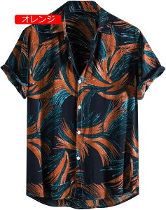 ĕ Y Vc   ԕ An Vc Y  Vc AnVc r[`Vc  ʋC nC 􉽊w͗l Vv IV K rWlX CVc t