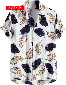 ĕ Y Vc   ԕ An Vc Y  Vc AnVc r[`Vc  ʋC nC 􉽊w͗l Vv IV K rWlX CVc t