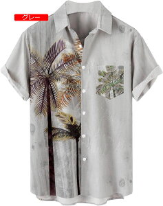 ĕ AnVc ݕt Y nCAVc  ėp Vc Ă~ ʋC O΍H {^_E _炩 ϖ l R[f čՂ ԉΑ Cxg ʊw A-9