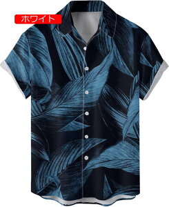 Vc Y JWA `FbN  ԕ An Vc Y  Vc AnVc r[`Vc  ʋC nC 􉽊w͗l AnVc a IV K r