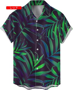 Vc Y JWA `FbN  ԕ An Vc Y  Vc AnVc r[`Vc  ʋC nC 􉽊w͗l AnVc a IV K r