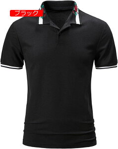  |Vc Y JWAVc Y tVc AEghA n M[tBbg j |Vc ʋC rWlX gbvX Vc Y ʋC   g[jOEGA 