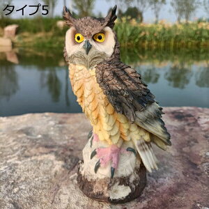  tNE G ^Cv fBXvC F Aj}IuWF z[fR[V | A tNE K[fjOu ӂ낤u  { K[fI[ig 